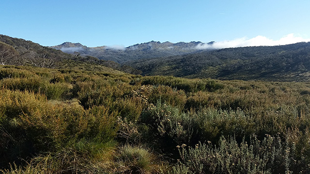 Looking toward Dead Horse Gap from the Cascade Trail