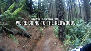 Return to the Redwoods 1 - We're going to the Redwoods