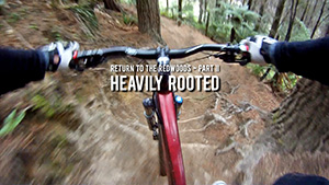 Return to the Redwoods 2 - Heavily Rooted