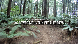 Return to the Redwoods 3 - XC Lower Mountain 		Pedally Days