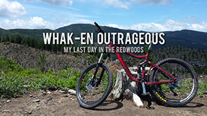 Whak-en Outrageous - My last day in the Redwoods