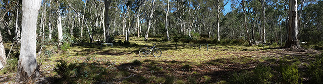 Trail Intersection Cascade, Cowombat and Ingeegoodbee