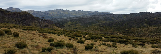 Cascade Trail looking toward Dead Horse Gap